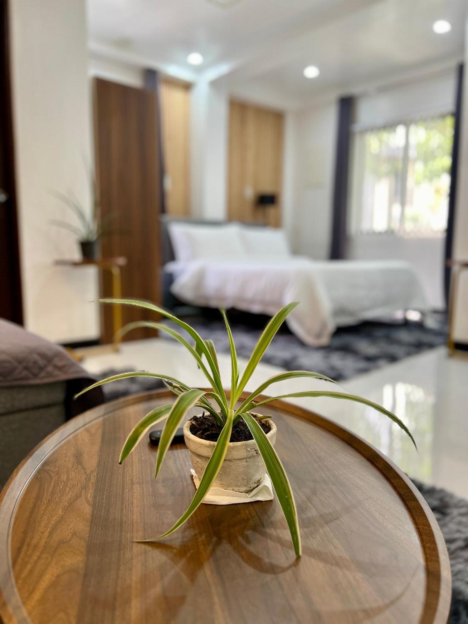 Gia'S Place San Mateo Экстерьер фото
